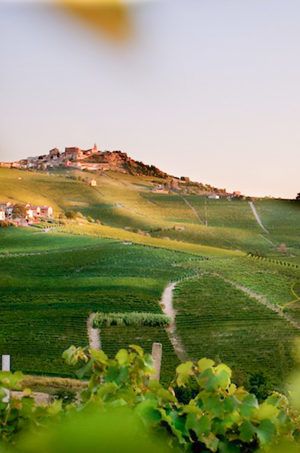 Cantina Damilano
