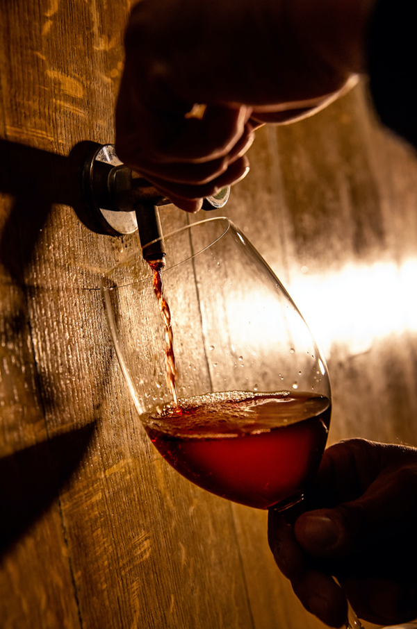 Cantina Damilano