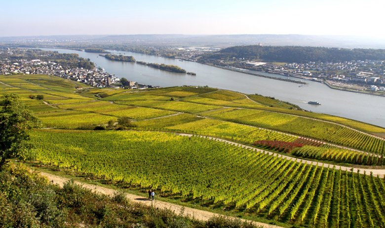 Weingut Freimuth