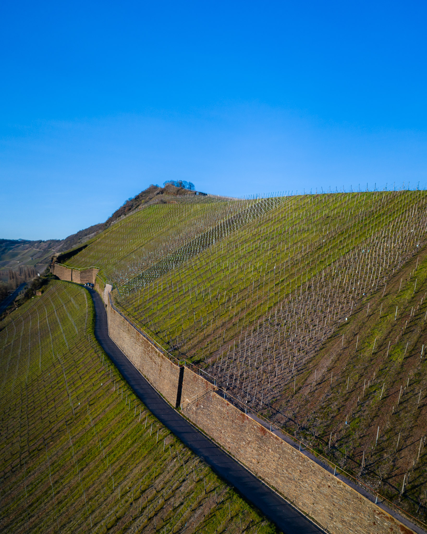 Weingut Grans-Fassian