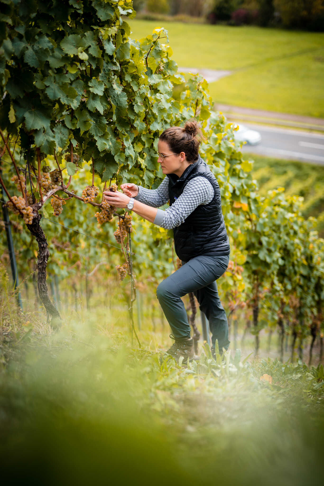 Weingut Grans-Fassian