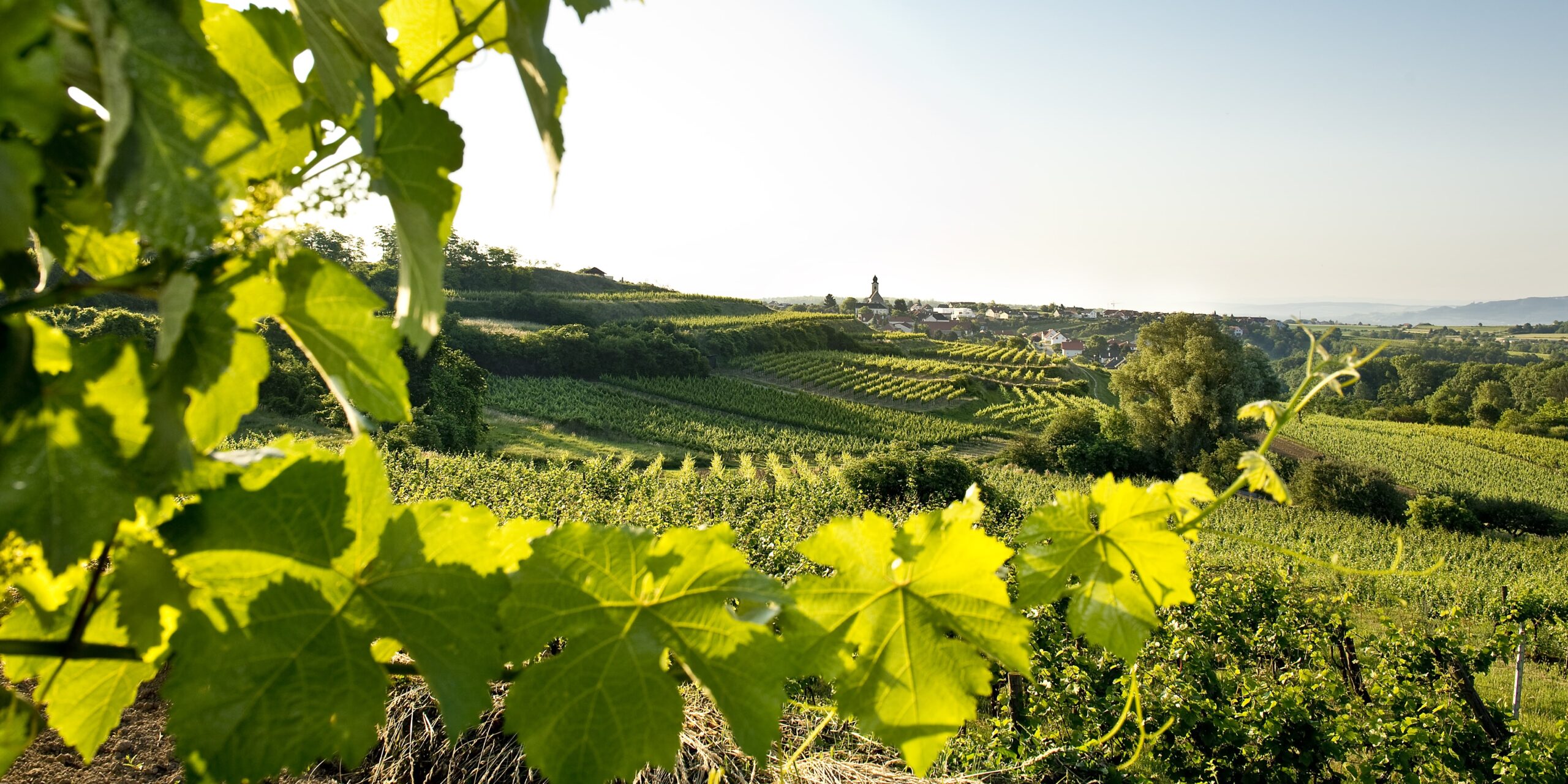Weingut Josef Schmid