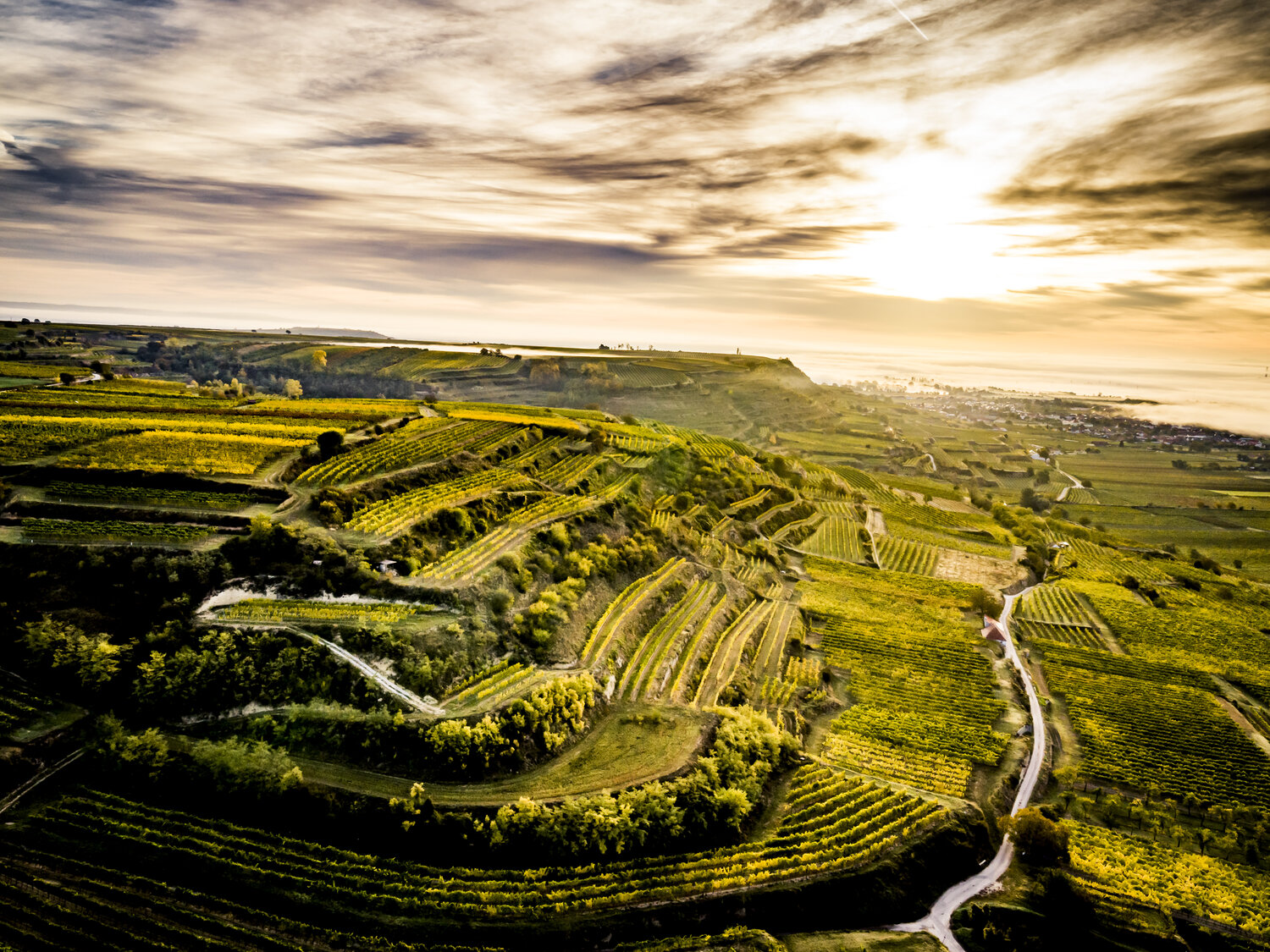 Weingut Josef Schmid