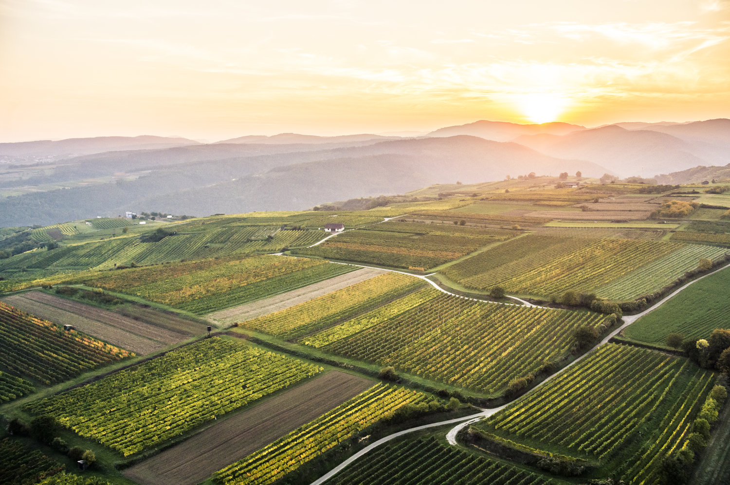 Weingut Josef Schmid