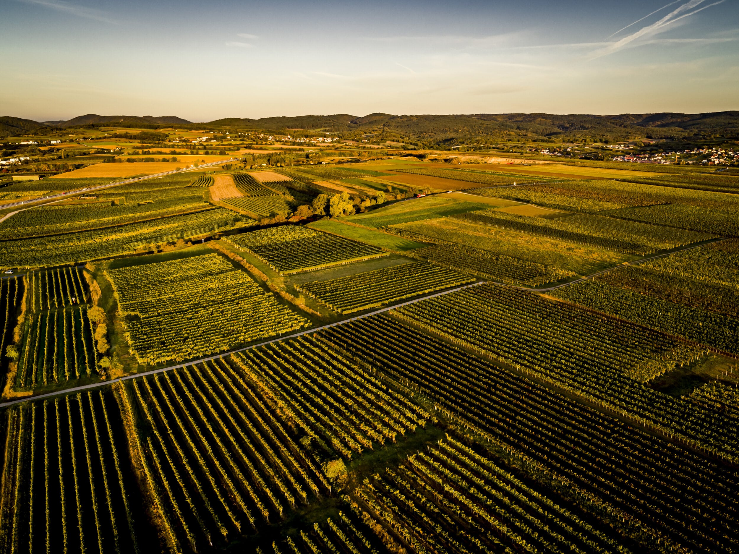 Weingut Josef Schmid