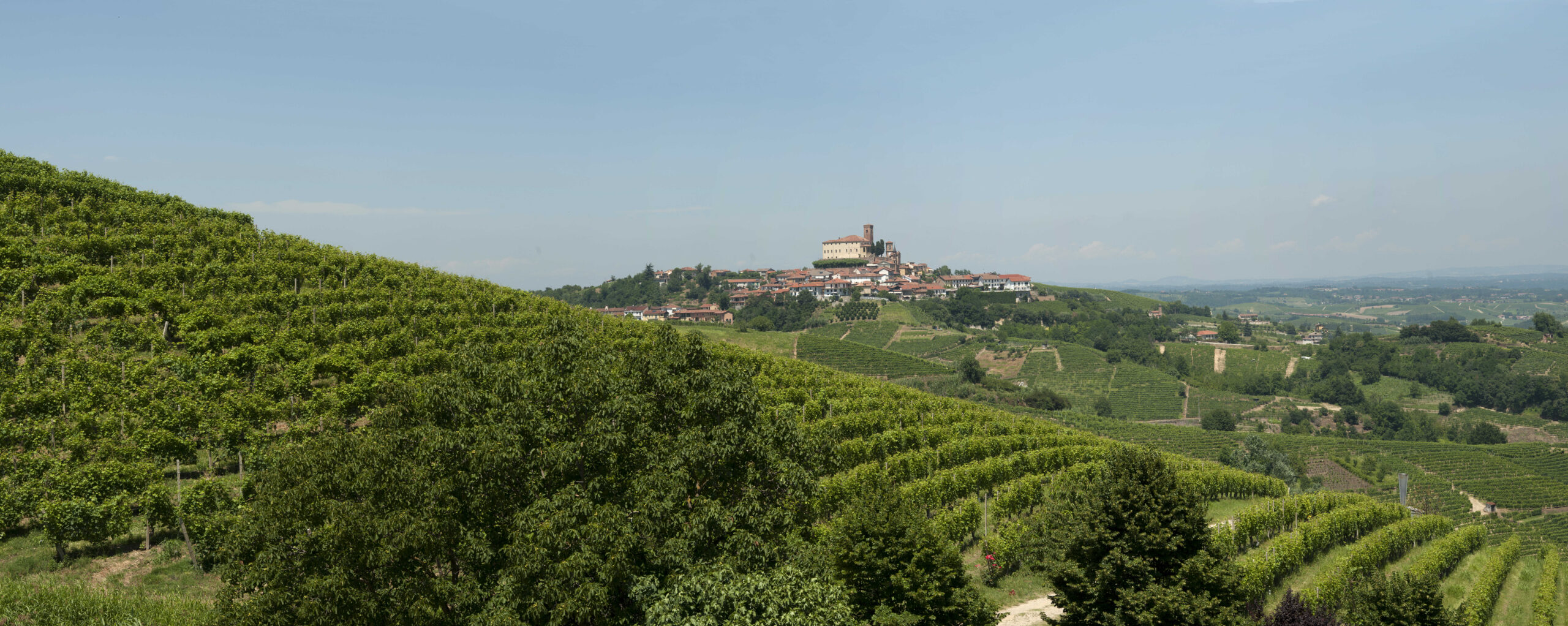 Tenuta Larame