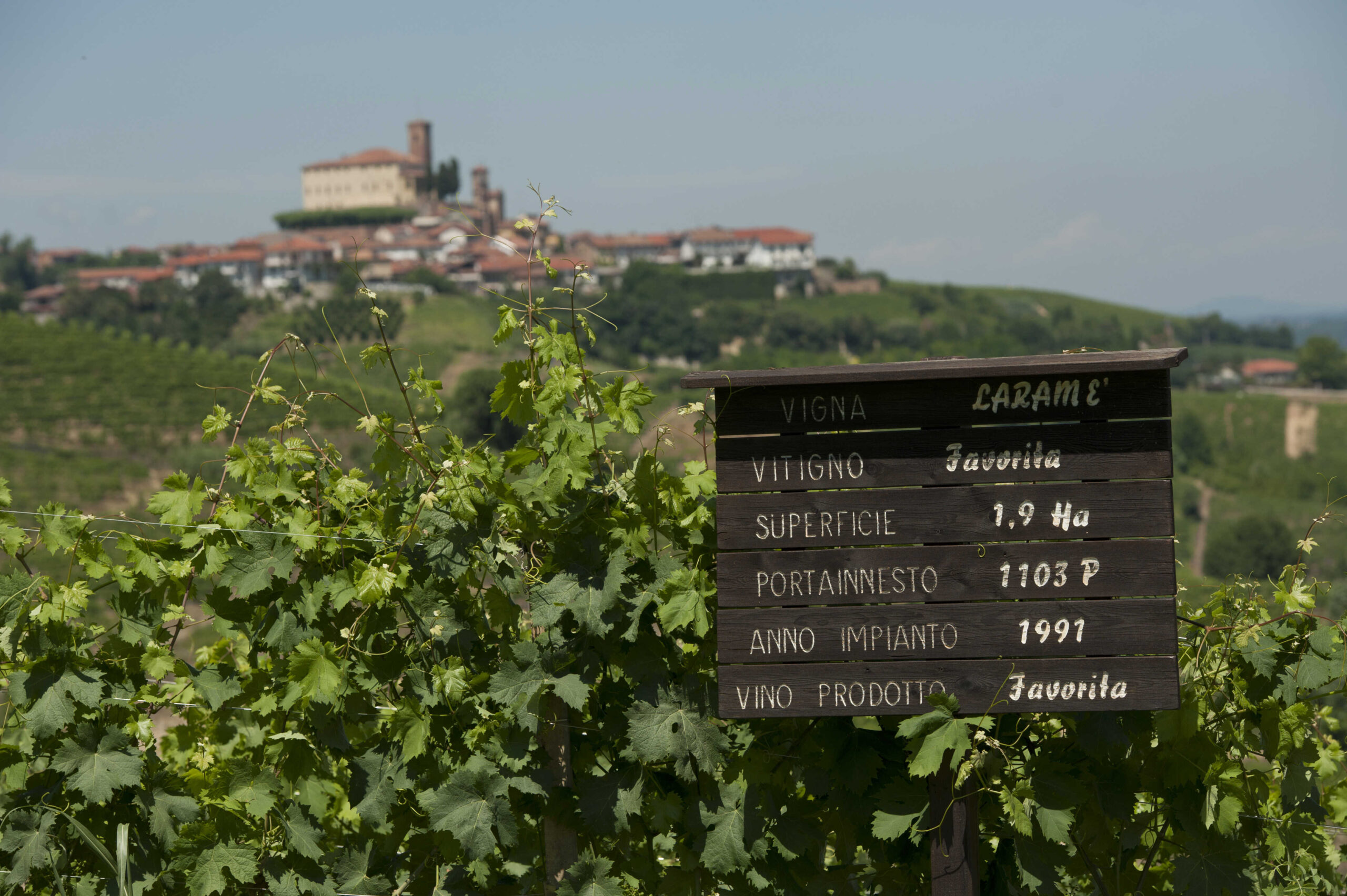 Tenuta Larame
