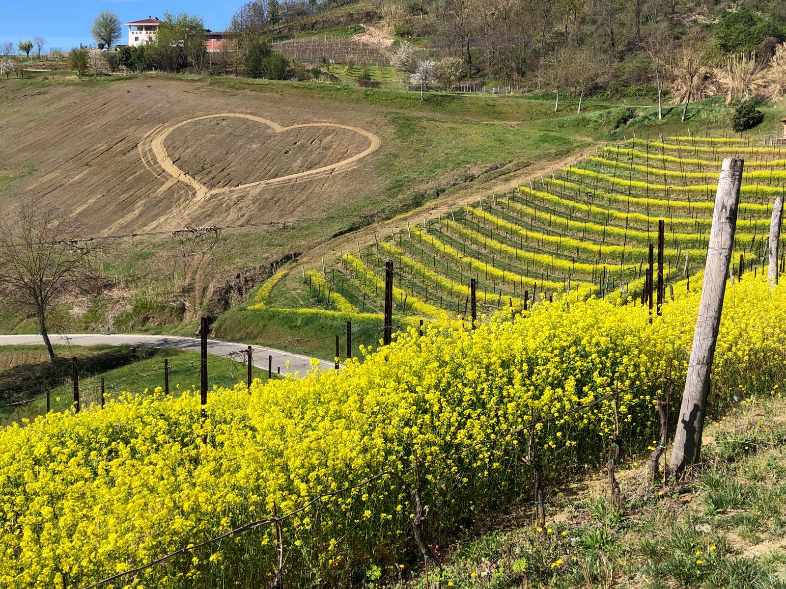 Tenuta Larame