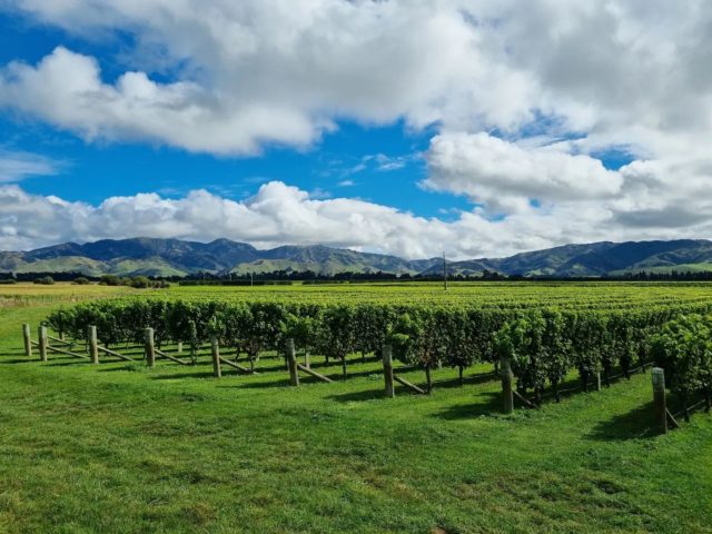Te Whare Ra