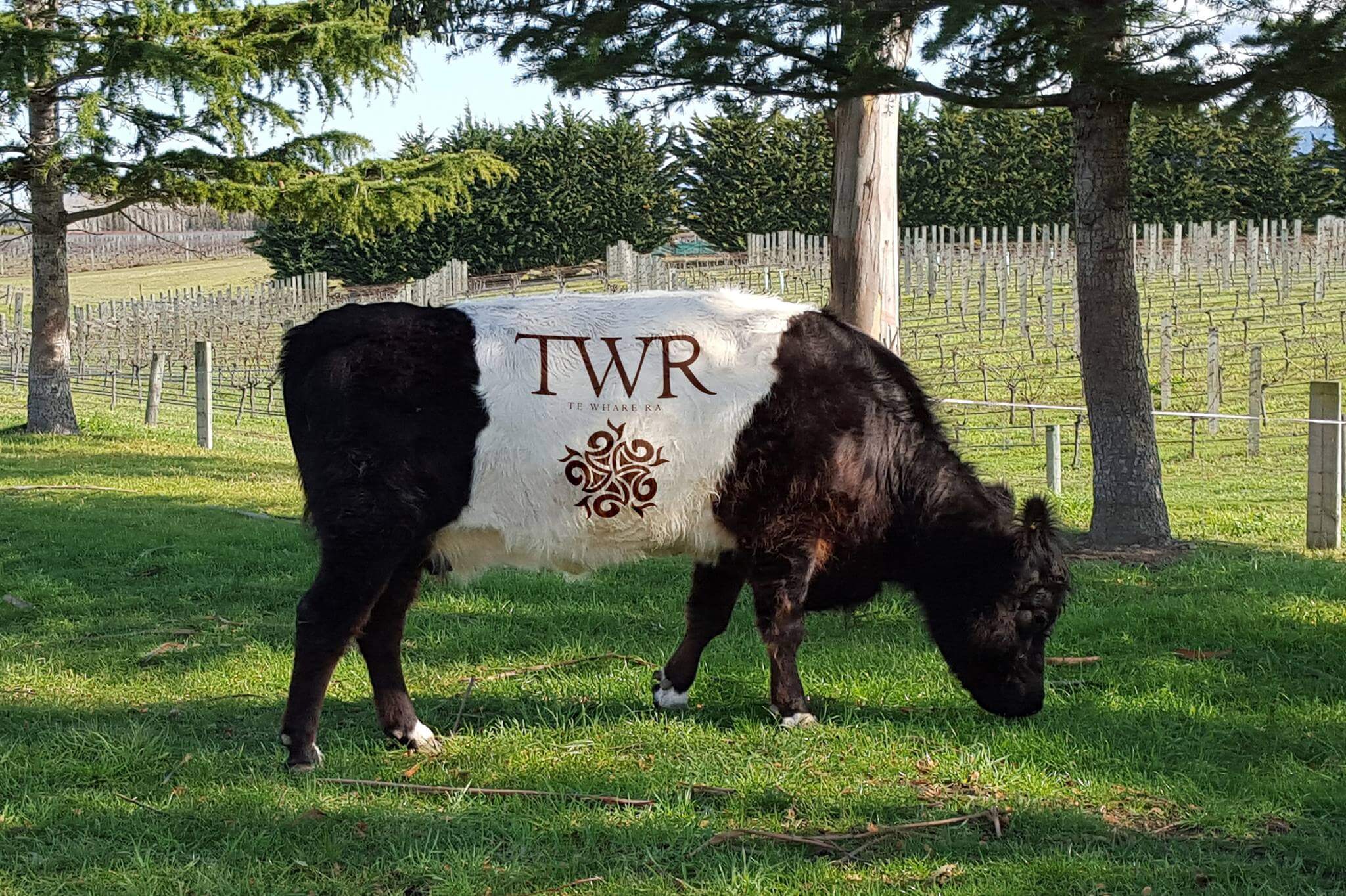 Te Whare Ra