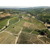 Vinice Cannubi