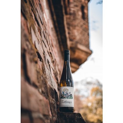 Riesling Zöbinger Barbara Öhlzelt 2019, Kamptal