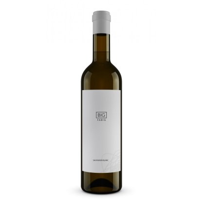big fabig sauvignon blanc 2017 moravske zemske vino suche