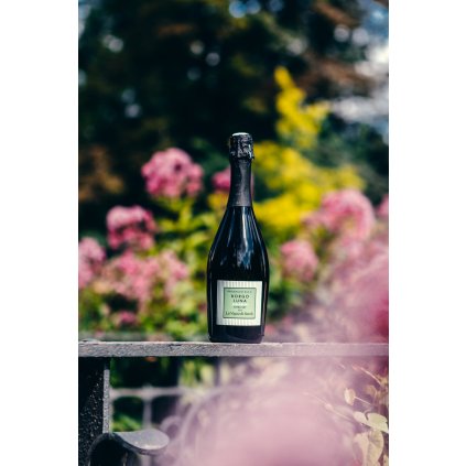 Prosecco Bio Borgo Luna DOC Extra Dry La Vigna di Sarah