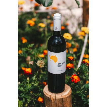 Catarratto & Zibibbo Ottoventi 2019, Sicílie