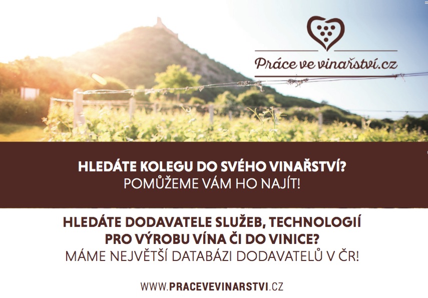 Práce ve vinařství.cz - kompletní web pro vinaře