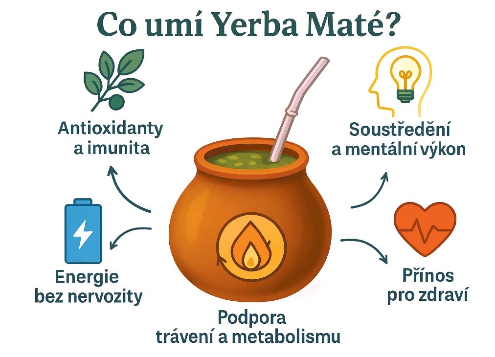 5 důvodů, proč pít Maté každý den