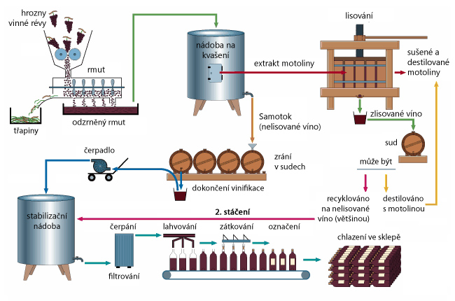 schema-vyroba-vina