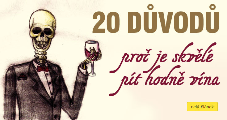 20_duvodu