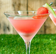 Summer Martini Cocktail