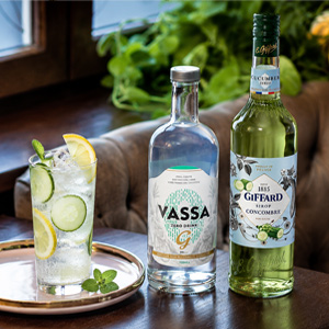 Prémiový nealkoholický long drink VASSA Zero Gin a Cucumber s plátkem okurky