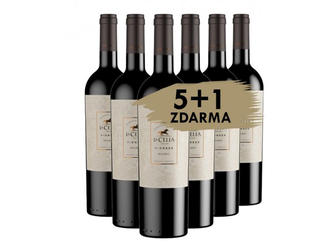 Pioneer la celia 5 1