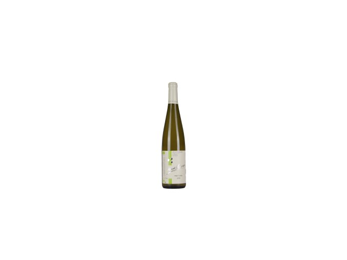 bouteille alsace domaine albert maurer vin blanc sec pinot gris 2019