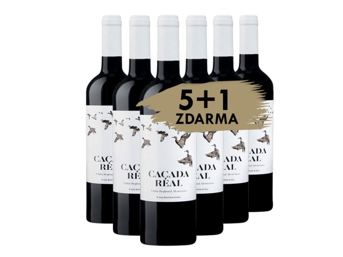Cacada 5 1