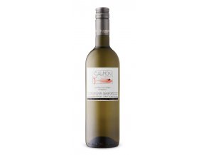 Salomon Grüner Veltliner Groovy, 0,75l