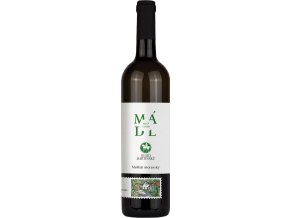 Svatomartinské Muškát Moravský 2023, Mádl
