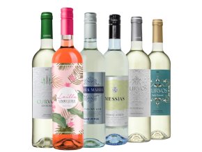 degustacni balicek vinho verde 6x0 75l