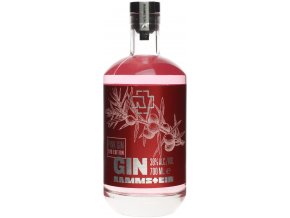 Rammstein GIN PINK 2ND Edition, 38%, 0,7l