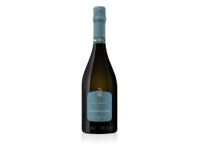 Nani Rizzi Prosecco Valdobbiadene ERGI Extra Dry, 0,75l