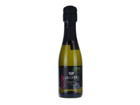 78887 prosecco doc extra dry lahofer 0 2l