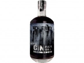 Rammstein GIN Schwarz, 40%, 0,7l