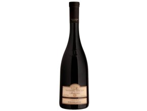 merlot 2020 pod palavou pozdni sber suche tanzberg 0 75l