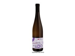 chardonnay--2020--cepage--pozdni-sber--suche--nove-vinarstvi--0-75l