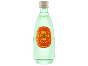 Big Kahuna gin Pineapple, 40%, 0,05l