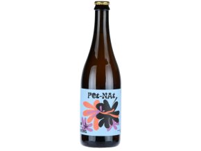 pet nat 2024 bio naturel vinarstvi spalek 0 75l