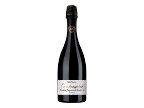 Chiarli Centenario Lambrusco Grasparossa di Castelvetro, 0,75l