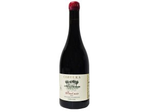 pinot noir 2022 organic barrique cibulka 0 75l