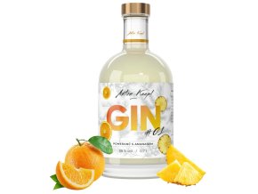 gin 1 anton kaapl 38 0 7l