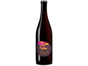 Pet Nat Pinot Noir Dodo Hareter, 0,75l