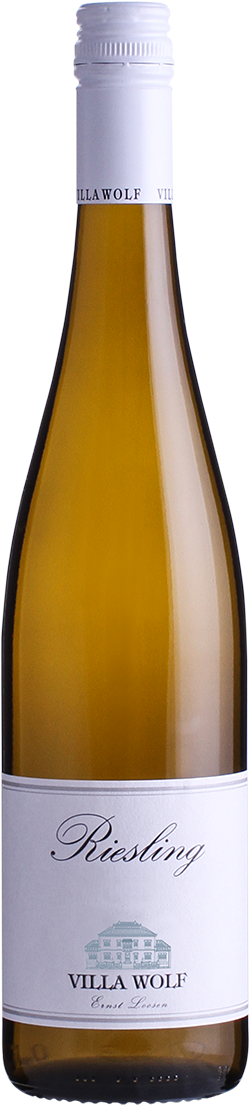 Villa Wolf Riesling Trocken 2024, 0,75l