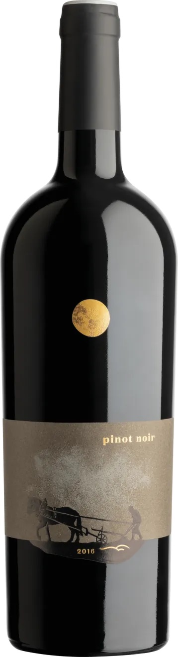 Sedlák Pinot Noir výběr z hroznů - limitovaná edice 0,75l