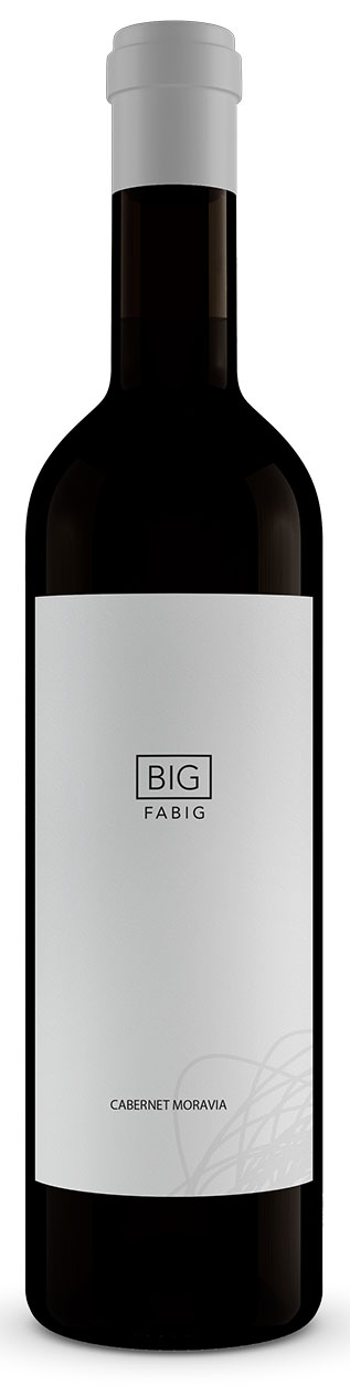 Vinařství Fabig BIG Cabernet Moravia, 2019, zemské, suché, Fabig, 0,75l