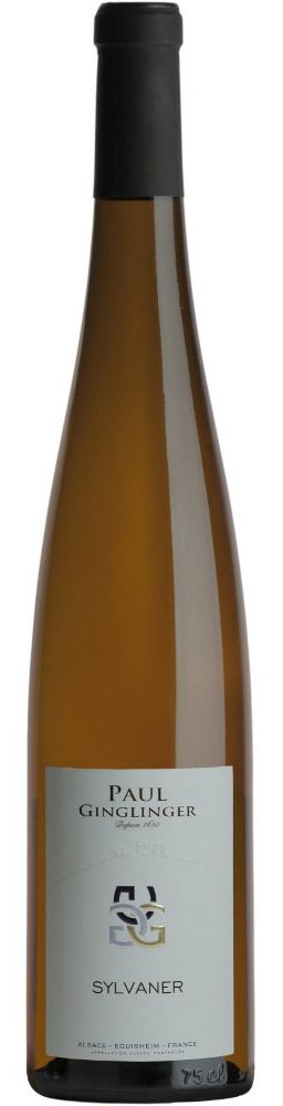 Paul Ginglinger Alsace Sylvaner 2019, 0,75l