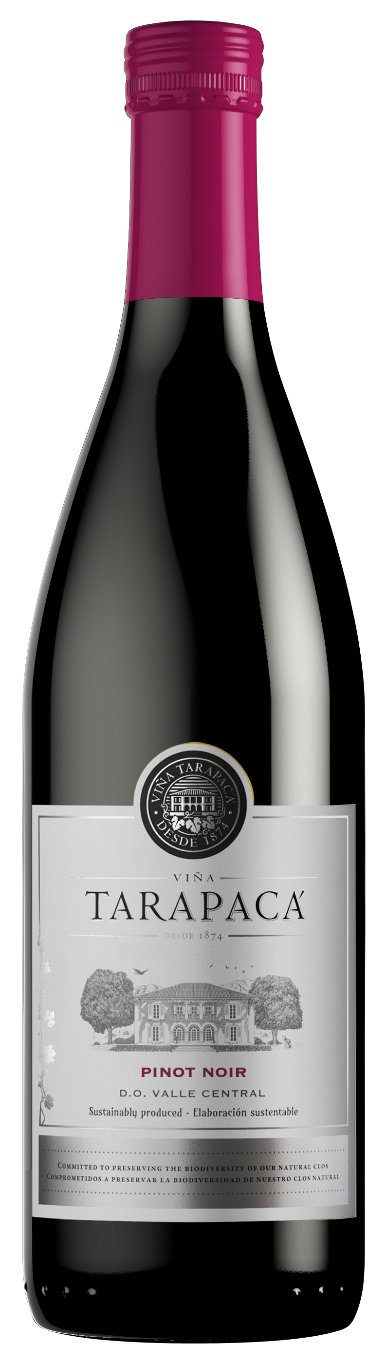 Tarapacá, Pinot Noir 2014, Varietal, 0,75l
