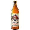 Paulaner Hefe Weissbier Nature, 20x0,5l