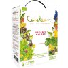 Domaine Bousquet Malbec Cameleon, Bag in Box, 3l